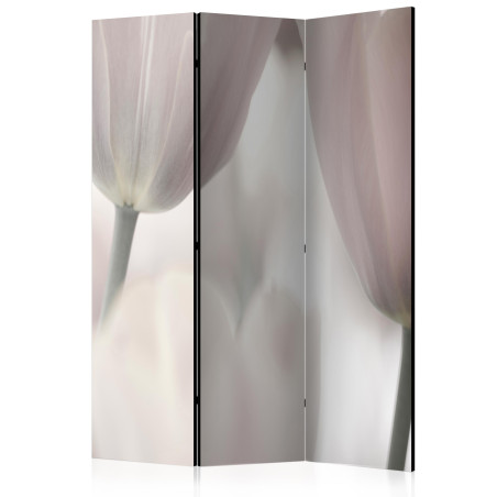 Paravan Tulips fine art black and white 135 x 172 cm-01