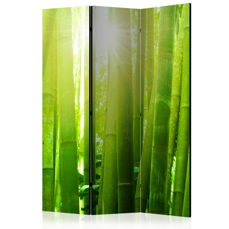 Paravan Sun and bamboo 135 x 172 cm-01