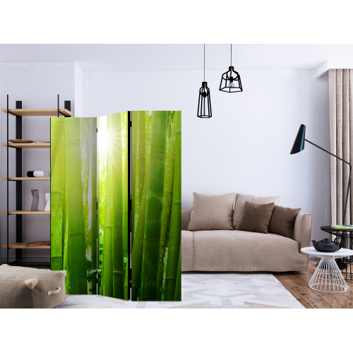 Paravan Sun and bamboo [Room Dividers]