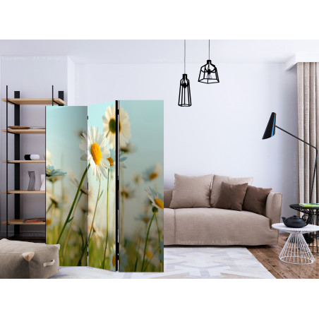 Paravan Daisies spring meadow 135 x 172 cm-01