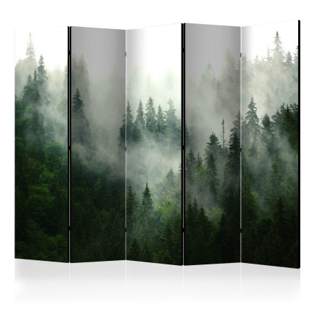 Paravan Coniferous Forest II 225 x 172 cm-01