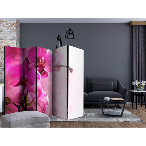 Paravan Pink Orchid II [Room Dividers]