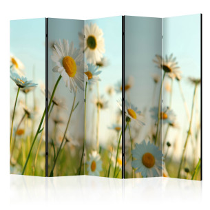 Paravan Daisies spring meadow II [Room Dividers]