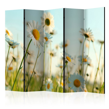 Paravan Daisies spring meadow II 225 x 172 cm-01