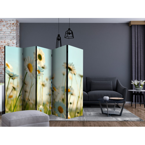 Paravan Daisies spring meadow II [Room Dividers]