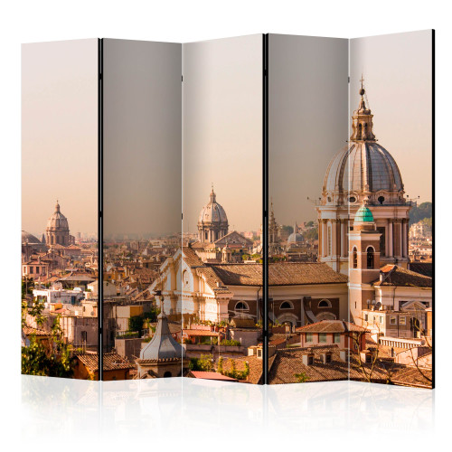 Paravan Rome bird's eye view II [Room Dividers]