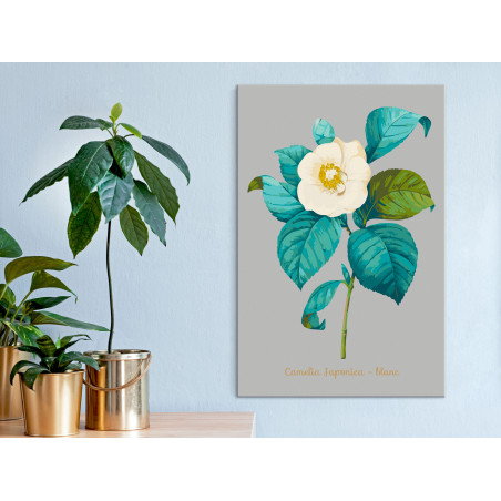 Pictatul pentru recreere Beautiful Camellia 40 x 60 cm-01