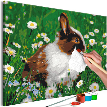 Pictatul pentru recreere Rabbit in the Meadow 60 x 40 cm-01