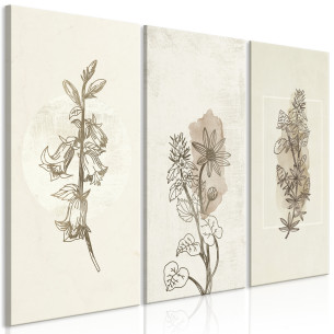 Tablou Herbarium (3 Parts) 90 x 60 cm