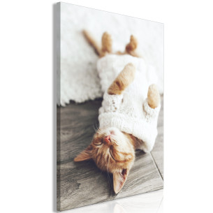 Tablou Lazy Cat (1 Part) Vertical 40 x 60 cm