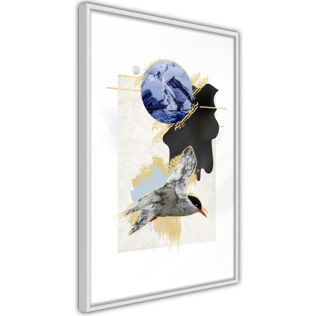 Poster Abstraction with a Tern-01