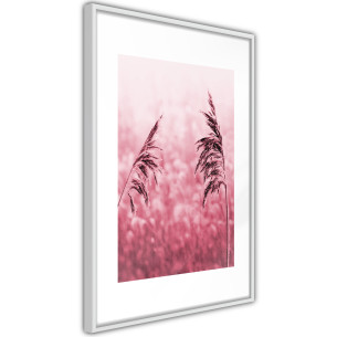 Poster Amaranth Meadow