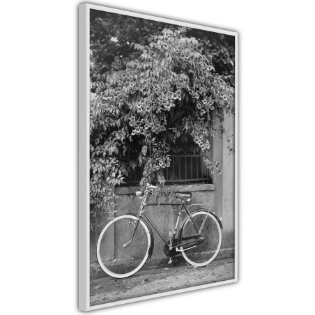 Poster Bicycle with White Tires-01