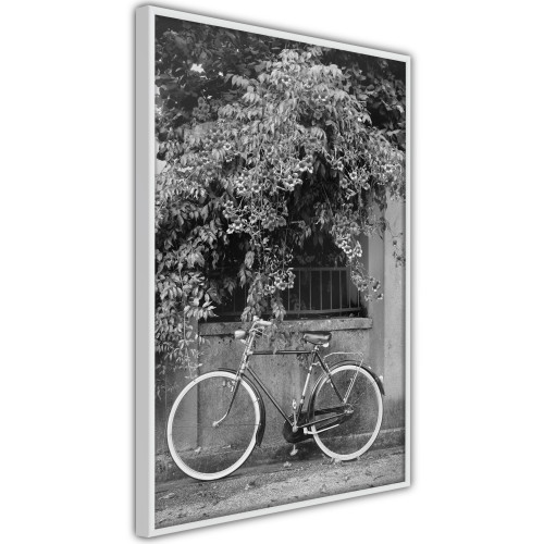 Poster Bicycle with White Tires