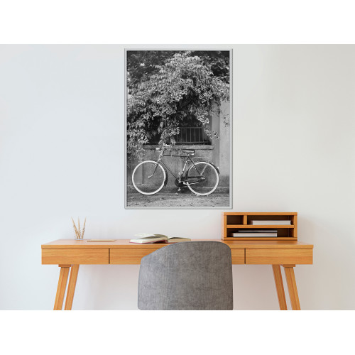 Poster Bicycle with White Tires