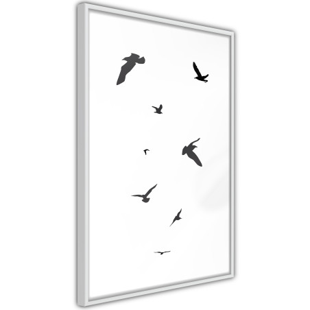 Poster Birds-01