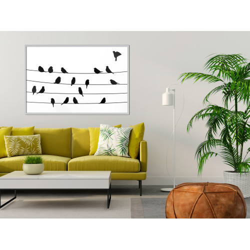 Poster Birds Council Meeting