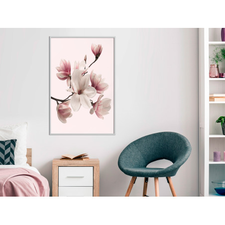 Poster Blooming Magnolias I-01