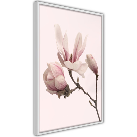 Poster Blooming Magnolias II-01