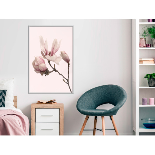 Poster Blooming Magnolias II