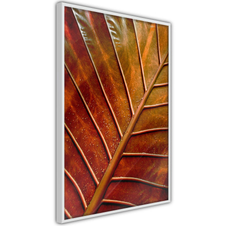 Poster Bronze Leaf-01