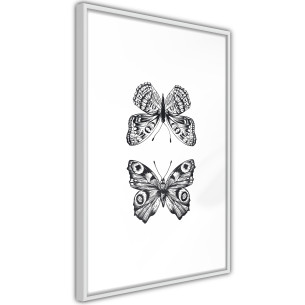 Poster Butterfly Collection I