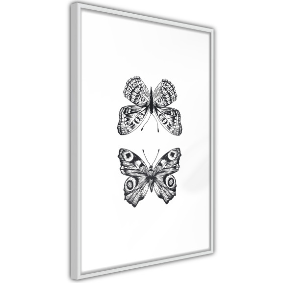 Poster Butterfly Collection I