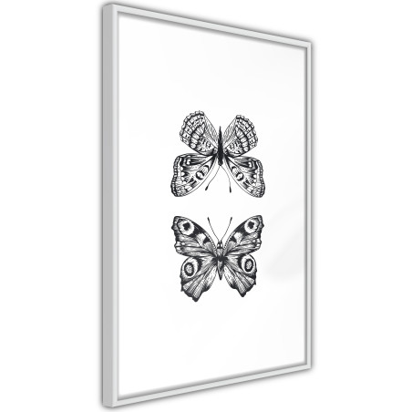 Poster Butterfly Collection I-01