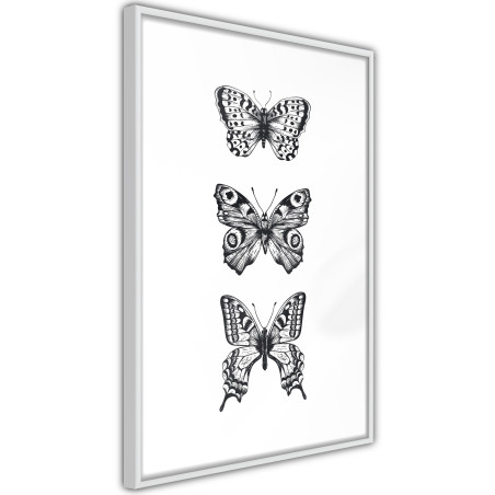 Poster Butterfly Collection III-01