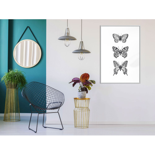 Poster Butterfly Collection III