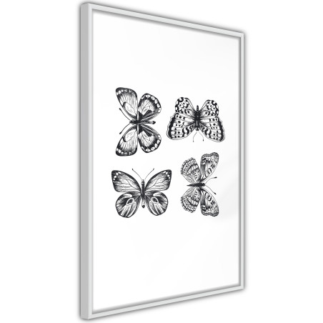 Poster Butterfly Collection III-01