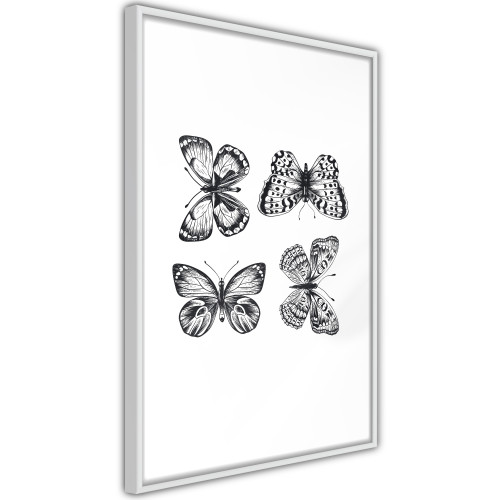 Poster Butterfly Collection III