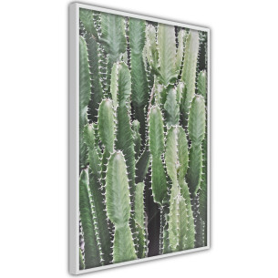 Poster Cactus Plantation