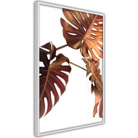 Poster Copper Monstera-01