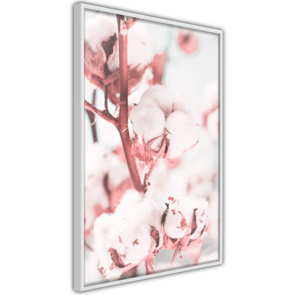 Poster Cotton Flowers