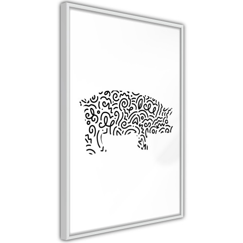 Poster Curly Pig