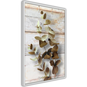 Poster Decorative Twigs