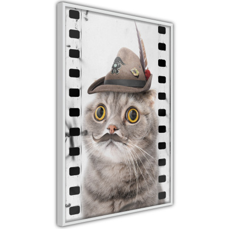 Poster Dressed Up Cat-01