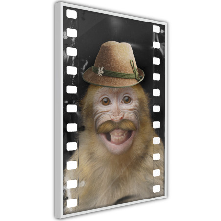 Poster Dressed Up Monkey-01