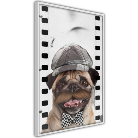 Poster Dressed Up Pug-01