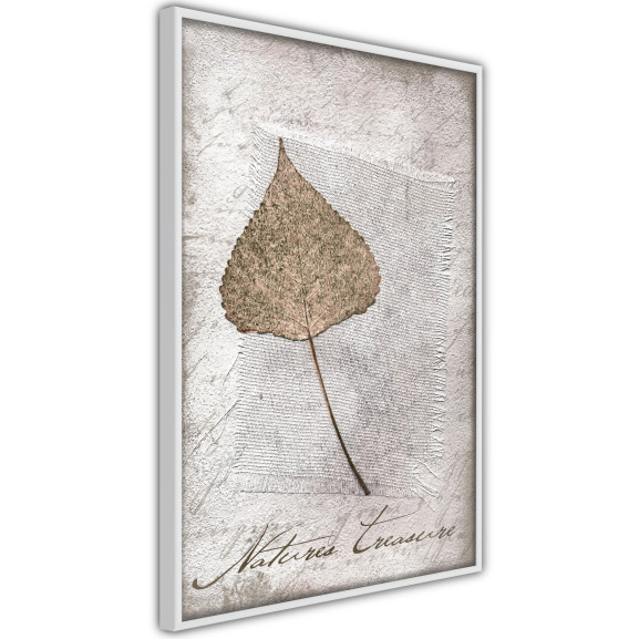 Poster Dried Leaf