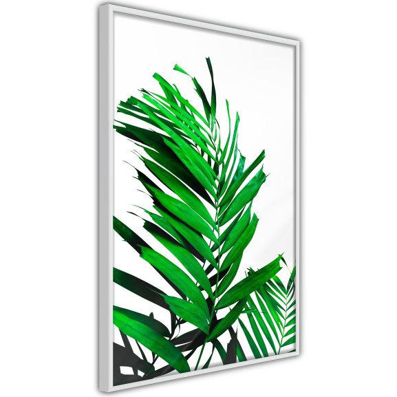 Poster Emerald Palm