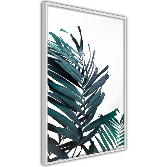 Poster Evergreen Palm Leaves