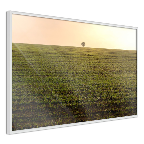 Poster Farmland