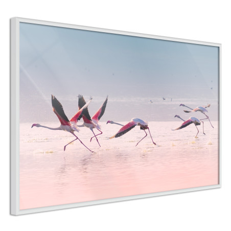 Poster Flamingos Breaking into a Flight-01