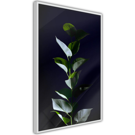 Poster Floral Elegance-01