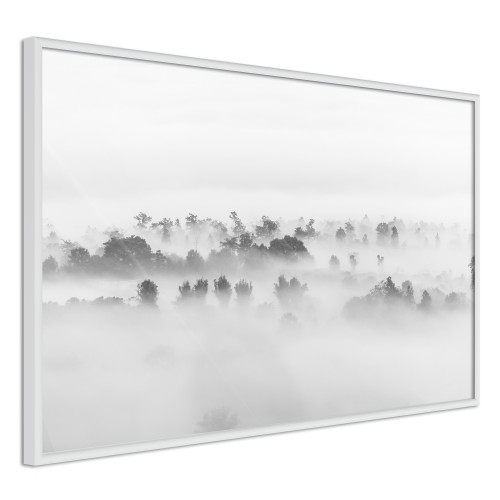 Poster Fog Over the Forest