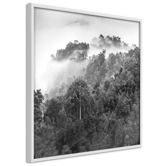 Poster Foggy Forest