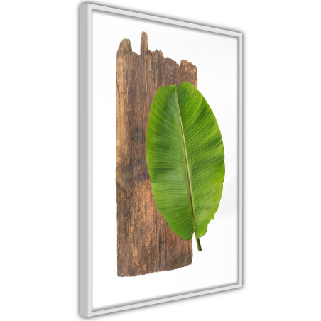 Poster Forest Nature-01