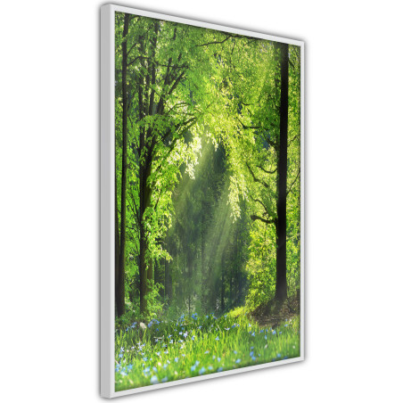 Poster Forest Path-01